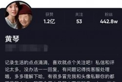 爆料黄琴的视频最新版,揭秘惊人内幕