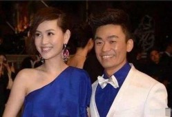 卓伟最新爆料 王宝强,卓伟最新爆料揭露惊人真相