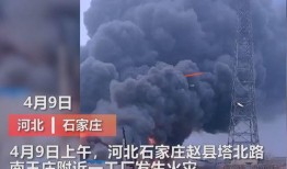 沈阳爆料媒体曝光视频最新,最新曝光视频揭露惊人内幕